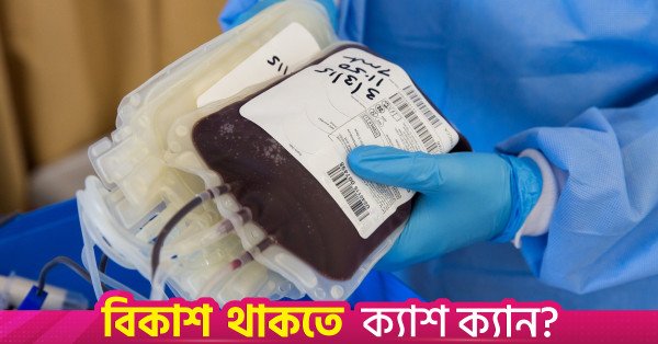 blood-g4ee419036_1920.jpg