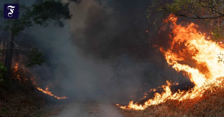 das-ist-klimawandel-brand-im.webp.webp