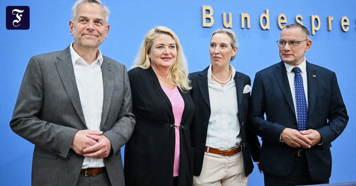 die-afd-politiker-leif-erik.webp.webp