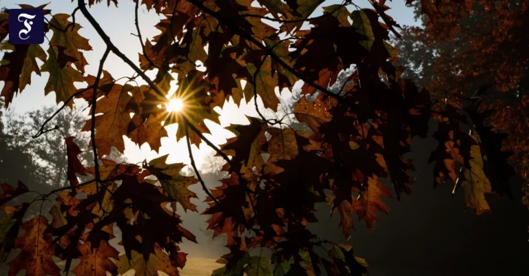 die-aufgehende-sonne.webp.webp