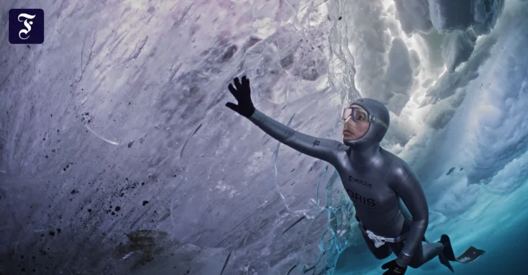die-eiswelten-die-cryosphere.webp.webp