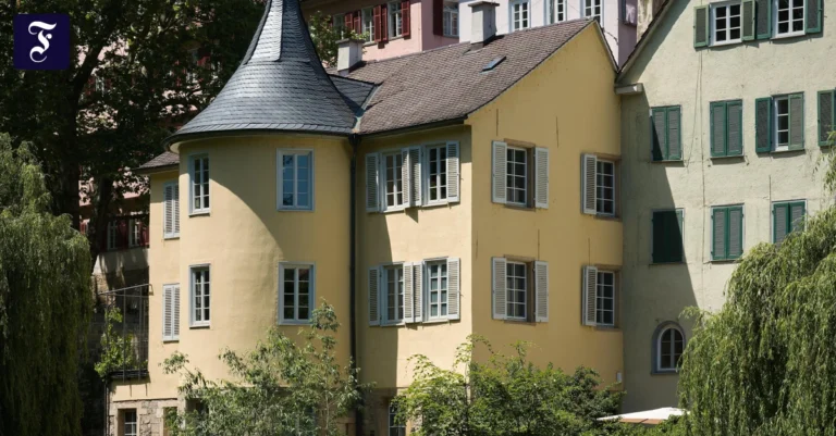 die-neue-sonderausstellung-im.webp.webp