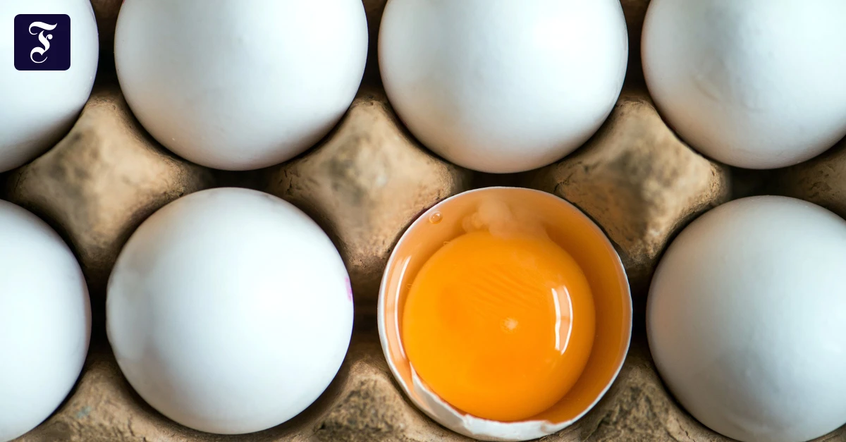 eier-sind-fuer-eine-ketogene.webp.webp