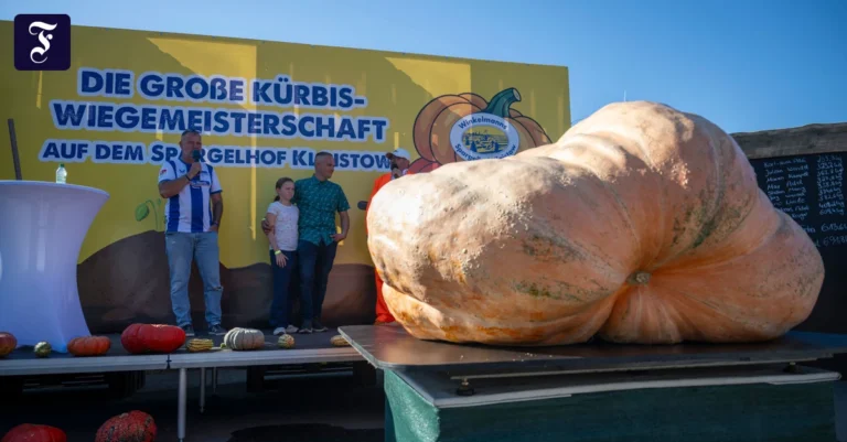 hat-die-1000-kilo-nicht.webp.webp