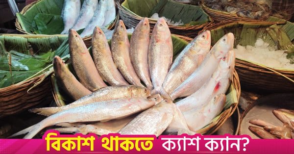 hilsa_latest.jpg