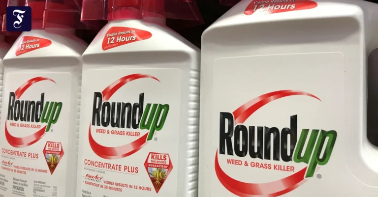 kern-des-monsanto.webp.webp