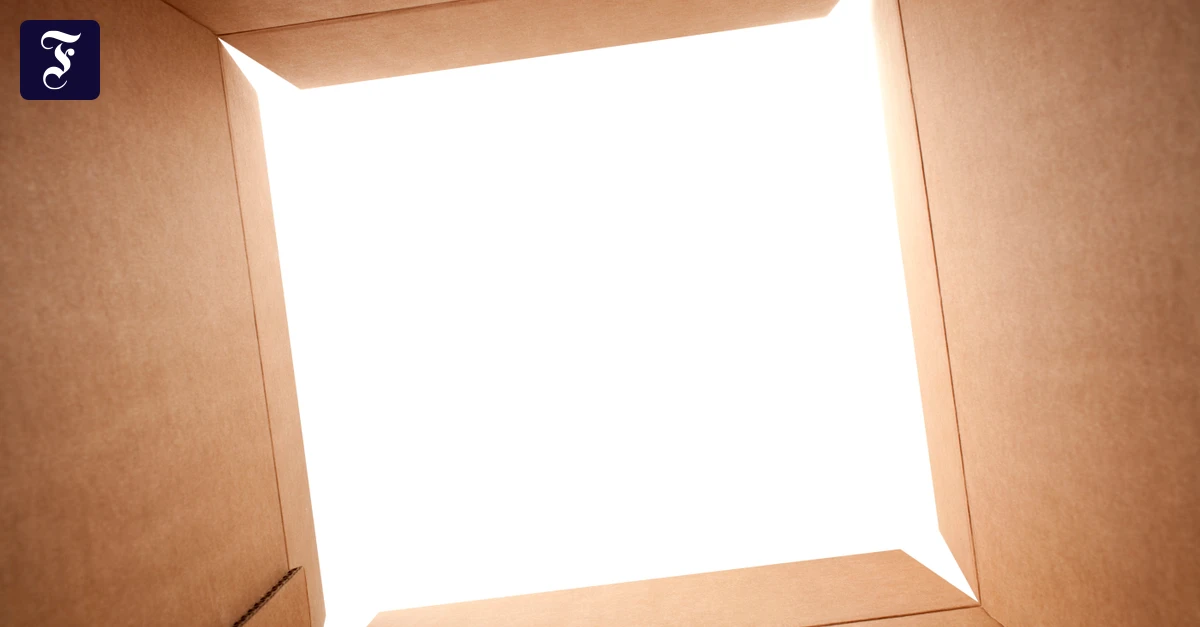 mehr-als-kartons-pappe-ist-ein.webp.webp