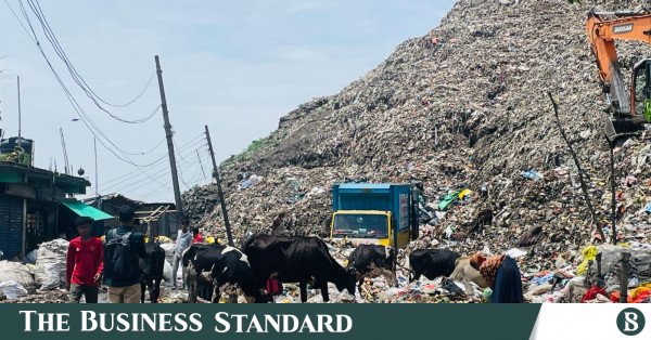 p5_ctg_waste.jpeg