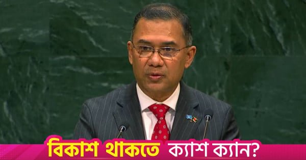 pm_tarique_unga_speech_screengrab.jpg