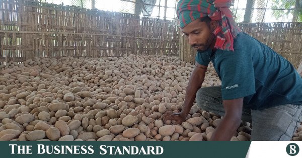 potato_farmer.jpg
