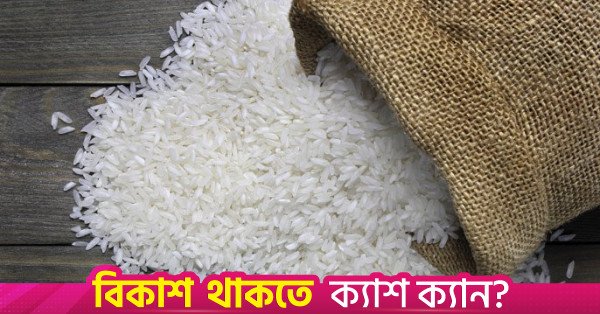 rice.jpg