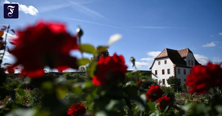 sonnig-in-hessen-wird-es-die.webp.webp