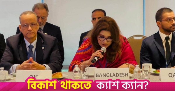 state_minister_for_foreign_affairs_shama_obaed_islam.jpg