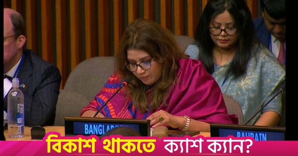 state_minister_for_foreign_affairs_shama_obaed_islam_2.jpg