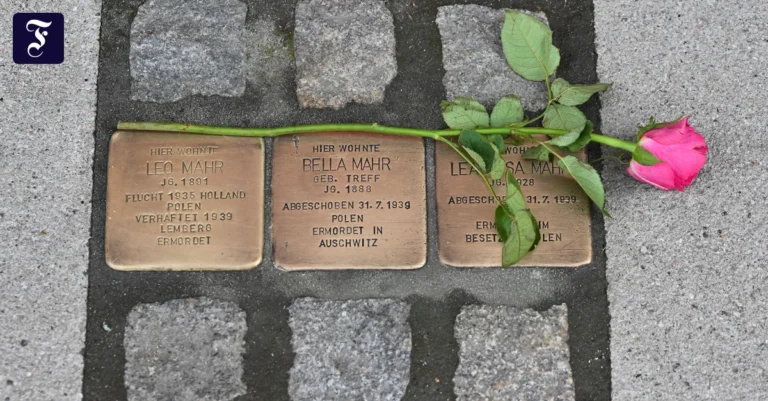 stolpersteine-hier-in-kassel.webp.webp