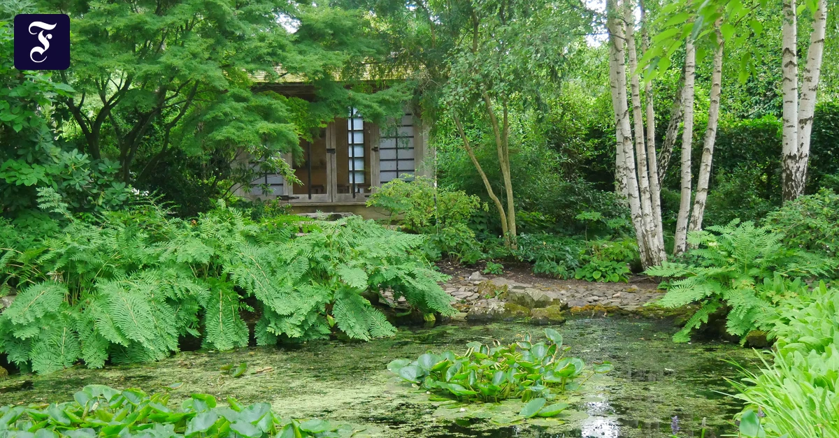 teehaus-mit-birken-und.webp.webp