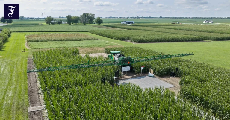 testfelder-von-bayer-in-huxley.webp.webp