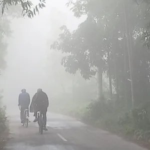03-01-24-Feni_Fog-6-816b72104ce1a61cd767ce8ee19e8442.JPG