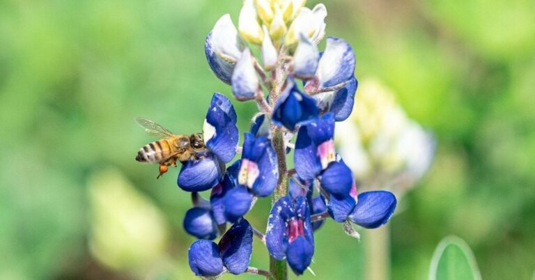 14bee-forum-facebookJumbo.jpg