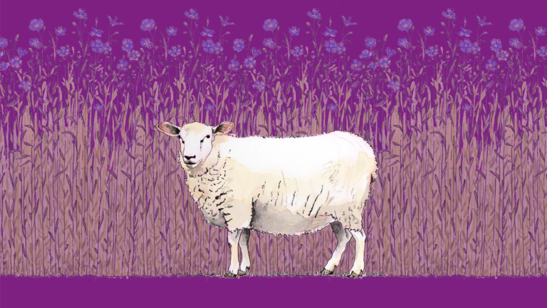 1791474858_wide__1300x731.png