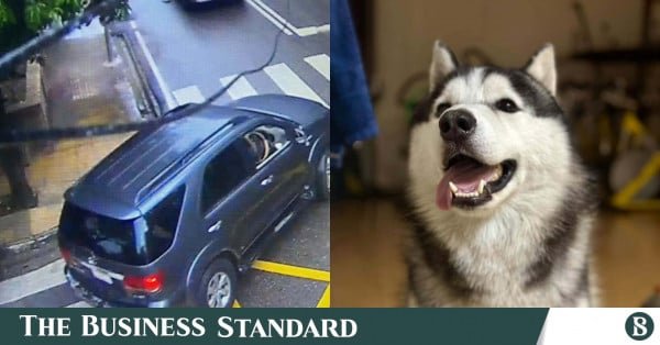 1792062748_gulshan_dog_accident.jpg