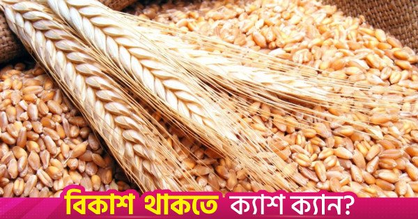 1793247812_wheat.jpg