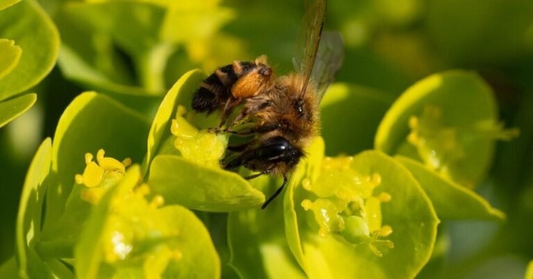 17bee-forum-facebookJumbo.jpg