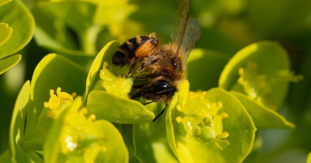 17bee-forum-facebookJumbo.jpg