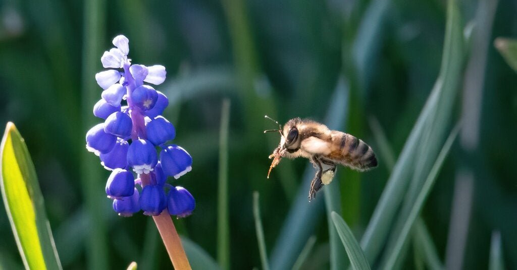 18bee-forum-facebookJumbo.jpg