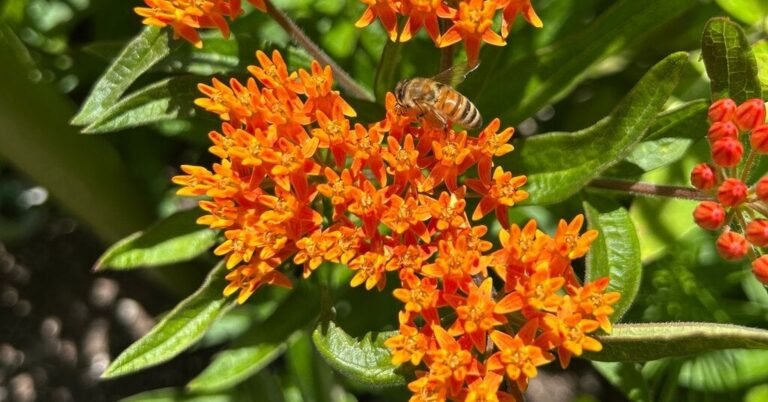 22bee-forum-facebookJumbo.jpg