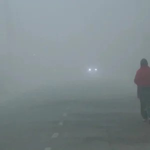 5c21c8109138e8b7c2c0fcdd522e6863-6ae042adeef10.jpg