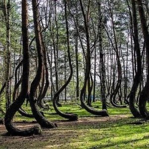 a0f086590f7fcf44842c9228e4ecd05c-6ae335302c1d0.jpg