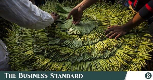 betel_leaf-lead.jpg