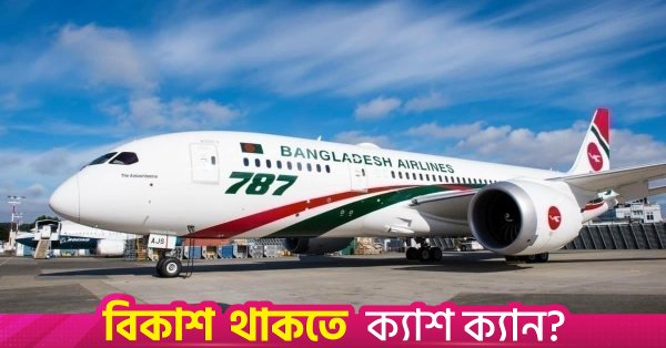 biman1.jpg
