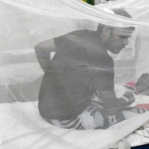 dengue-rajshahi-d56774880dea0d2a9433ca9d3ec09cc3.jpg