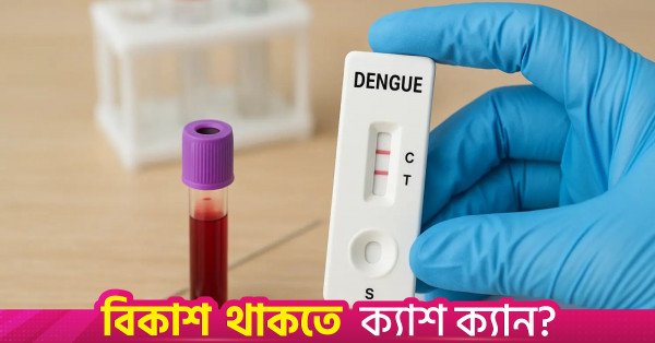 dengue_test_kit_representational.jpg