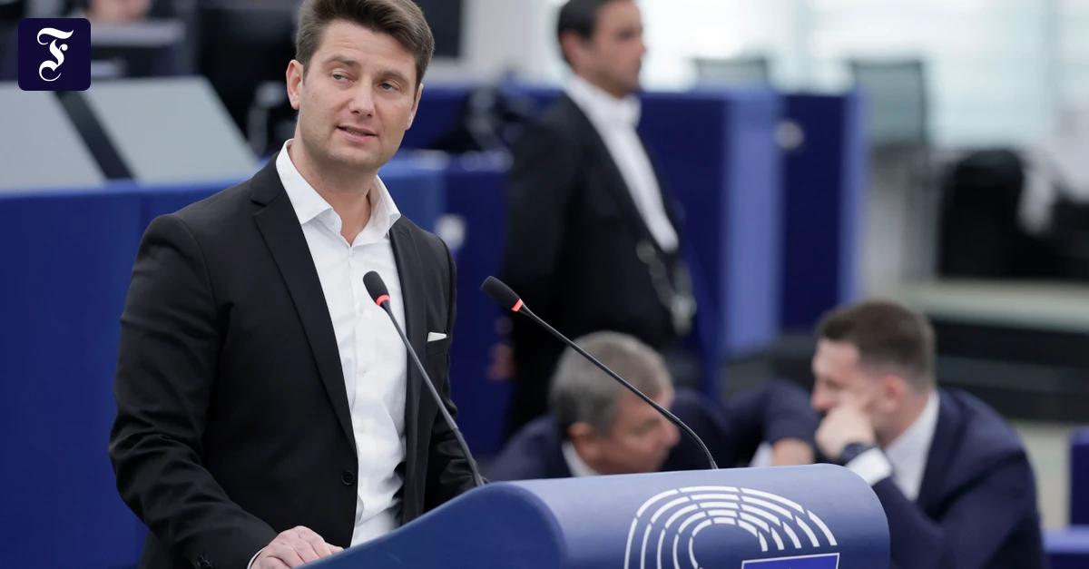 der-afd-europapolitiker-ren.webp.webp