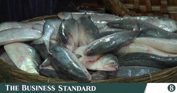 gv_fish_market_-_frame_at_3m24s.jpg