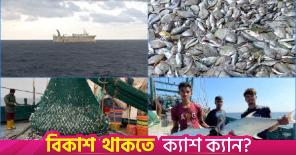 marine_fishing_collage.jpeg