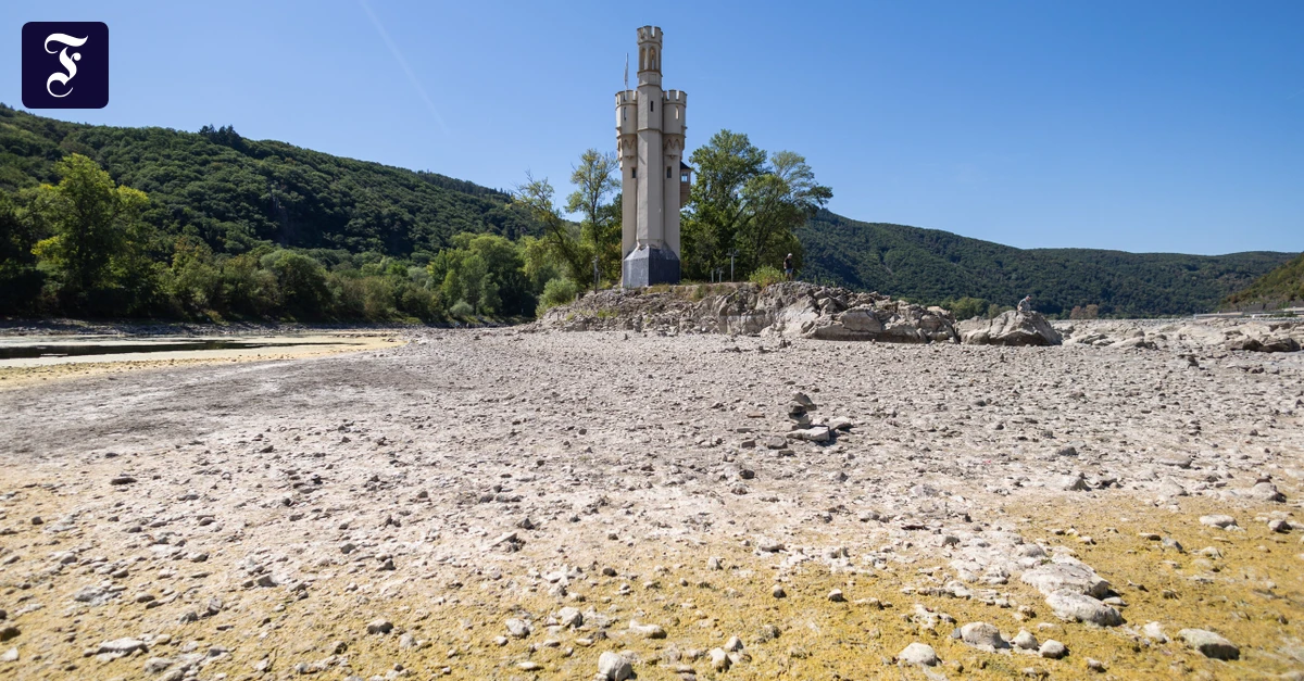 mitte-august-war-der-rhein.webp.webp