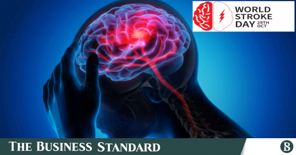 stroke_day.png
