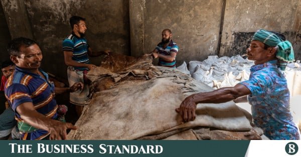 tannery-feature.jpg