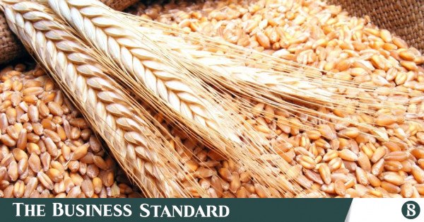 wheat.jpg